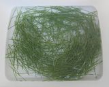 うちの松葉茶作り方3写真