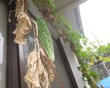 ゴーヤーと鶏もも肉の煮物作り方1写真
