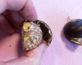 栗がとっても甘〜い♡栗おこわ作り方5写真