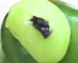 昆虫すごいぜ!かまきりカレー作り方2写真