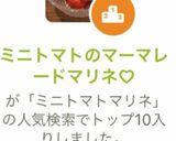 ミニトマトのマーマレードマリネ♡作り方9写真