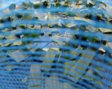月桃茶作り方3写真