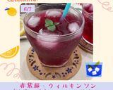 ♢♧かんたん赤しそジュース♧♢リンゴ酢入作り方16写真
