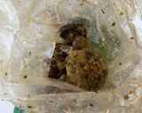 【男飯】椎茸のからあげ作り方4写真