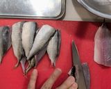 アジの3枚おろしでぎり寿司作り方4写真