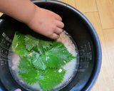 【簡単ごはん】大葉とツナの炊き込みご飯作り方3写真