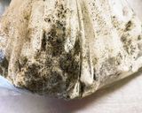 袋でこねこね簡単黒胡麻全粒粉クッキー作り方5写真