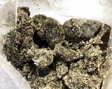 袋でこねこね簡単黒胡麻全粒粉クッキー作り方6写真