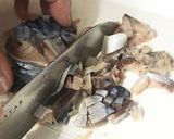 サバの酵母漬けハンバーグ＊カレー風味作り方4写真