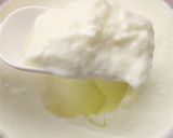 ガゼリ菌SP株と脂肪0牛乳でヨーグルト作り方6写真