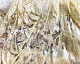 袋で混ぜ混ぜ！サクサク鶏モモカレー焼き作り方3写真