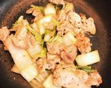 白菜豚肉の生姜炒めをのせた塩ラーメン作り方3写真
