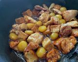 鶏肉と栗と厚揚げのほっこり煮作り方3写真
