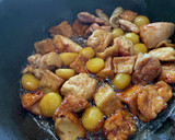 鶏肉と栗と厚揚げのほっこり煮作り方3写真