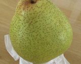 千両梨のコンポート作り方1写真