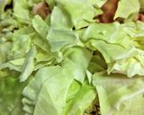 簡単♪キャベツと豚肉の蒸し煮作り方4写真