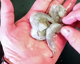 簡単下処理　めちゃ早いエビの殻剥き作り方5写真