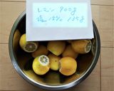 私の塩レモン2作り方1写真