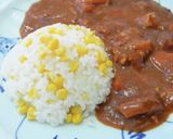 時短簡単でコクうま！ポーク＆なすカレー作り方18写真