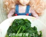リカちゃん♡近所で育った野菜の出汁びたし作り方16写真
