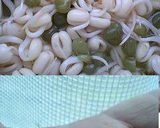 実験「緑豆もやし」作り! 経過報告作り方6写真