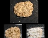 マクロビ♡ AOVEの全粒粉クラッカー作り方3写真