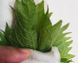 お弁当に！ちくわの大葉巻き♪作り方5写真