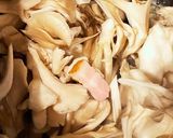 舞茸とベーコンのマスタードクリーム煮作り方4写真