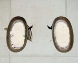 パエリヤ作り方1写真