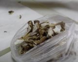 超簡単おつまみ！カリカリ舞茸の甘唐揚げ作り方2写真