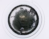 ひじきの煮物作り方1写真