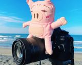 やみつき？！簡単すぎる小松菜チャーハン作り方11写真