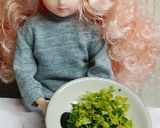 リカちゃん♡近所で育ったにんじんグラッセ作り方16写真