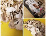 サクサク~玉ねぎ焼きと舞茸炒めサラダ作り方1写真