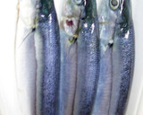 肴鯖鯵鯛鰯鮭鮪鮨！魚の三枚おろしの基本！作り方66写真