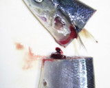 肴鯖鯵鯛鰯鮭鮪鮨！魚の三枚おろしの基本！作り方69写真
