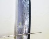 肴鯖鯵鯛鰯鮭鮪鮨！魚の三枚おろしの基本！作り方67写真