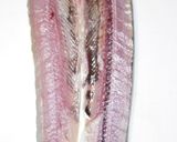 肴鯖鯵鯛鰯鮭鮪鮨！魚の三枚おろしの基本！作り方72写真