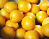 簡単！！風邪予防に！きんかんの甘露煮作り方1写真