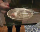【ダイエット飯】簡単ミネストローネ作り方2写真