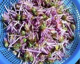 かきのもとの芯の佃煮作り方1写真