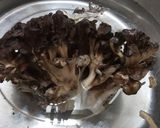 天然マイタケの下処理と長期冷凍保存作り方1写真