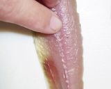 しるびーの究極のさんまの塩焼き家庭風作り方8写真