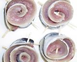 しるびーの究極のさんまの塩焼き家庭風作り方11写真