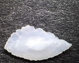 アジとキャベツのココナッツミルク煮作り方5写真