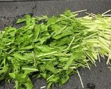 水菜たっぷり牛ごぼうの柳川風作り方2写真