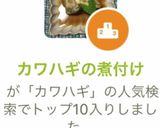 カワハギの煮付け作り方6写真