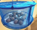 沢山食べたい！うまい燻製たまご作り方5写真