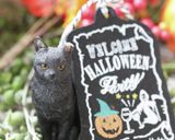 ハロウィン♚ドゥーブルフロマージュ作り方5写真
