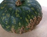 かぼちゃの煮物作り方1写真